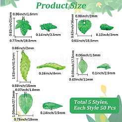 250шт 5 стиля прозрачные акриловые подвески&nbsp;OACR-PA0001-24