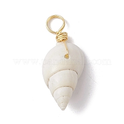 Спиральные подвески оболочки PALLOY-JF02492-01