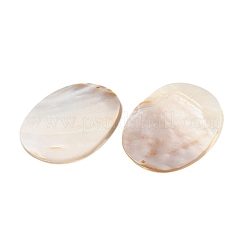 Естественных пресноводных оболочки большие кулоны SHEL-M021-06