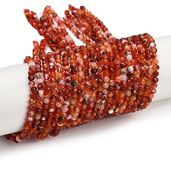 Натуральные полосатые агатовые бусы G-P553-G09-03