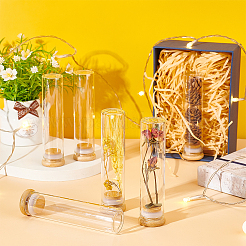 10 шт. стеклянные трубки для хранения бусин AJEW-BC0006-90A