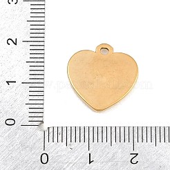 Pendentifs en acier inoxydable 304&nbsp;SA-CBABA5E-03G