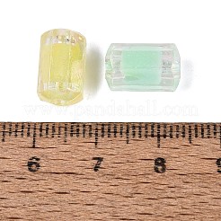 Perle di plastica trasparente&nbsp;KY-Q010-30