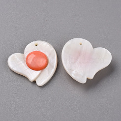 Природные подвески оболочки пресноводных SHEL-R144-19