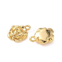 Латунные подвески&nbsp;KK-D024-14G