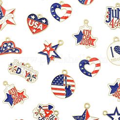 60 шт. 15 стиля эмалевые подвески из сплава ко Дню независимости&nbsp;FIND-FS0004-41