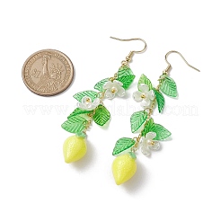 5 пара акриловых сережек-подвесок из нержавеющей стали 304 EJEW-JE05735