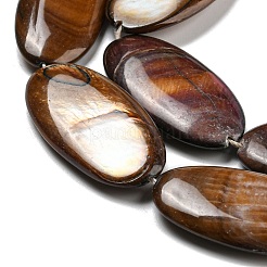 Окрашенные нити бусин из натуральных пресноводных ракушек BSHE-G034-23