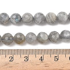 Природные лабрадорита бисер нитей G-L642-F07-8mm