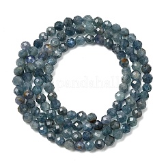 Natürliche kyanit / cyanit / disthen perlen stränge&nbsp;G-G259-D04-3mm