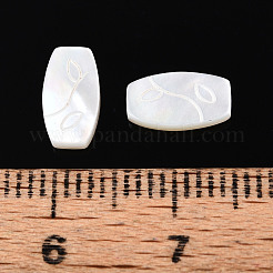 Натуральный белый кабошоны оболочки BSHE-T014-18