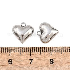 Подвески из нержавеющей стали 304 STAS-Z166-10P