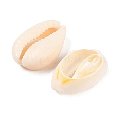 Бусины из натуральных раковин каури BSHE-Q296-1