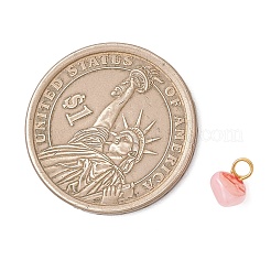 Подвески из натуральных окрашенных пресноводных ракушек&nbsp;PALLOY-JF05032-02