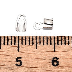 Железом мозг конец IFIN-T021-01P