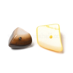 天然淡水シェルビーズ  染め  ナゲットチップス  ミックスカラー  9.5~18x7~11x2.5~6.5mm  穴：0.9mm  約450個/500g&nbsp;BSHE-G029-12