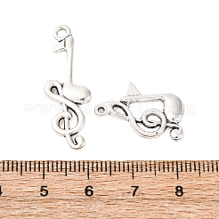 20шт. Набор из 10 подвесок из сплава в тибетском стиле&nbsp;FIND-C069-02AS