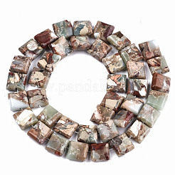 Натуральные бусины из аква терра яшмы G-S366-018B