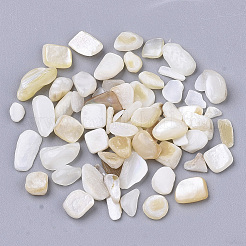 淡水シェルビーズ  ドリルなし/穴なしビーズ  チップ  貝殻色  1~16x1~5x0.5~5mm&nbsp;LS-SHEL-S266-11