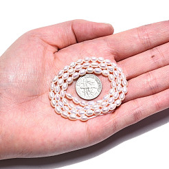 Нити из натурального культивированного пресноводного жемчуга PEAR-N012-04G