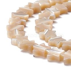 天然トロチッドシェル/トロカスシェルビーズ  スター  ナバホホワイト  8x8.5x2.5~3mm  穴：0.8mm  約55個/連  15.55インチ（39.5cm）&nbsp;SSHEL-O001-25B-01