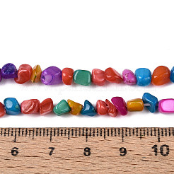 Нити бусин из натуральных пресноводных ракушек SHEL-N038-06B