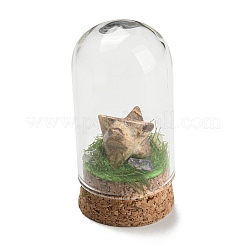 Edelstein-Polygon-Display-Dekoration mit Glaskuppel-Cloche-Abdeckung&nbsp;DJEW-B009-05