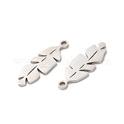 Подвески из нержавеющей стали 201&nbsp;LS-STAS-I199-B06-P