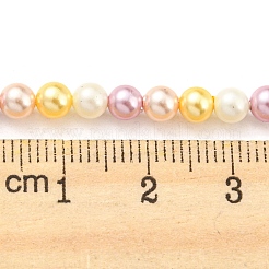 Fili di perle di conchiglie galvanizzate&nbsp;SHEL-F008-03A-05
