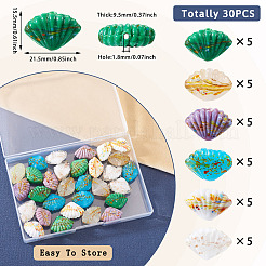 30шт 6 цвета бусины лэмпворк ручной работы LAMP-TA0001-53