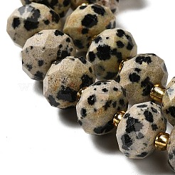 Природные яшмы далматин бисер нитей G-P573-A63-10x6mm