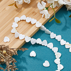 4 нить бусин из натуральных пресноводных ракушек SHEL-HS0001-11