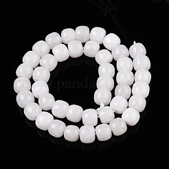 Окрашенные природные белый нефрит бисер пряди G-T138-S01