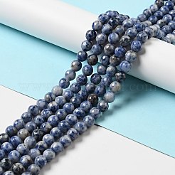Fili di perle di diaspro macchia blu naturale&nbsp;G-P476-01C-02