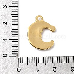 Подвески из нержавеющей стали 304 с эмалью&nbsp;STAS-P427-05A-G