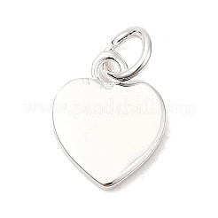 Cremagliera charms ottone placcatura&nbsp;LS-KK-F811-03S