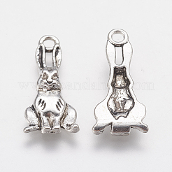 Tibetischer stil Aluminium Anhänger & Charms&nbsp;LS-PALLOY-A15373-AS-NF