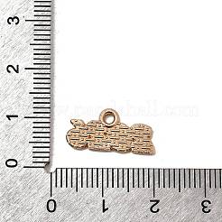 10 шт. Подвески из сплава с эмалью&nbsp;PALLOY-D314-06KCG