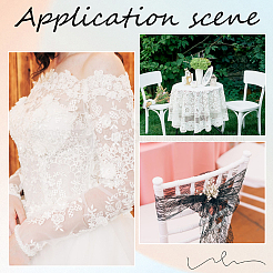 Нейлоновая цветочная кружевная лента OCOR-WH20013-009A