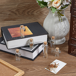 6 шт. 3 стиля прозрачные стеклянные бутылки желаний&nbsp;AJEW-DR00047