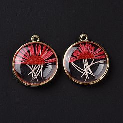 Подвески из прозрачной эпоксидной смолы RESI-L036-08G-01