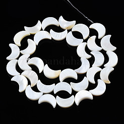 Нити бусин из натуральных пресноводных ракушек SHEL-Q024-015B