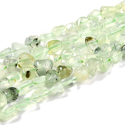 Natural Prehnite Beads Strands, Nuggets, Tumbled Stone, 5~8.5x5.5~7x3.5~4mm, Hole: 0.7mm, about 60~66pcs/strand, 13.8 inch(35cm)