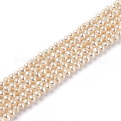 Fili di perle di perle d'acqua dolce coltivate naturali, patata, bisque, 4.5~5.5x4.5~5mm, Foro: 0.6 mm, circa 85pcs/filo, 14.17 pollice (36 cm)