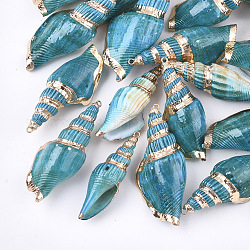 Spray Painted & Electroplate Spiral Shell Big Pendants, with Iron Findings, Light Gold, Deep Sky Blue, 53~80x23~28x16~20mm, Hole: 1.5mm