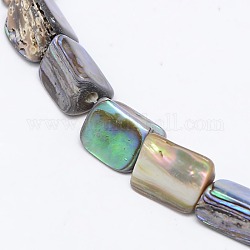 Natural Abalone Shell/Paua Shell Beads Strands, Triangle, Colorful, 7~15x7~12mm, Hole: 1mm, about 32~35pcs/strand, 15.7 inch