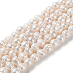 Hebras de perlas de agua dulce cultivadas naturales, patata, grado ab, PapayaWhip, 9~10x8~9mm, agujero: 0.6 mm, aproximamente 41 pcs / cadena, 13.58'' (34.5 cm)