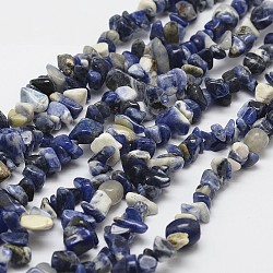 Natur Sodalith Perlen Stränge, Chip, Blau, 3~5x7~13x2~4 mm, Bohrung: 0.4 mm, 31.5 Zoll