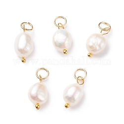 Amuletos de perlas de agua dulce cultivadas naturales de grado b, con 304 anillos de salto de acero inoxidable, arroz pulido, dorado, 13.5~15x7~7.5x5~6mm, agujero: 3.6 mm