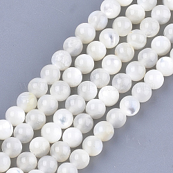 Natural White Shell Beads, Mother of Pearl Shell Beads Strands, Round, Ivory, 5mm, Hole: 1mm, about 75pcs/strand, 14.9 inch